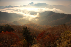 半月山展望台に向かう道より