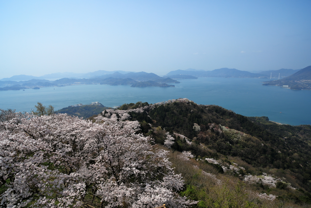 岩城島、積善山の頂上展望台から瀬戸内の青い海を臨む