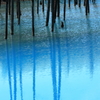 Shadows in the blue pond