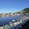 入船漁港と函館山