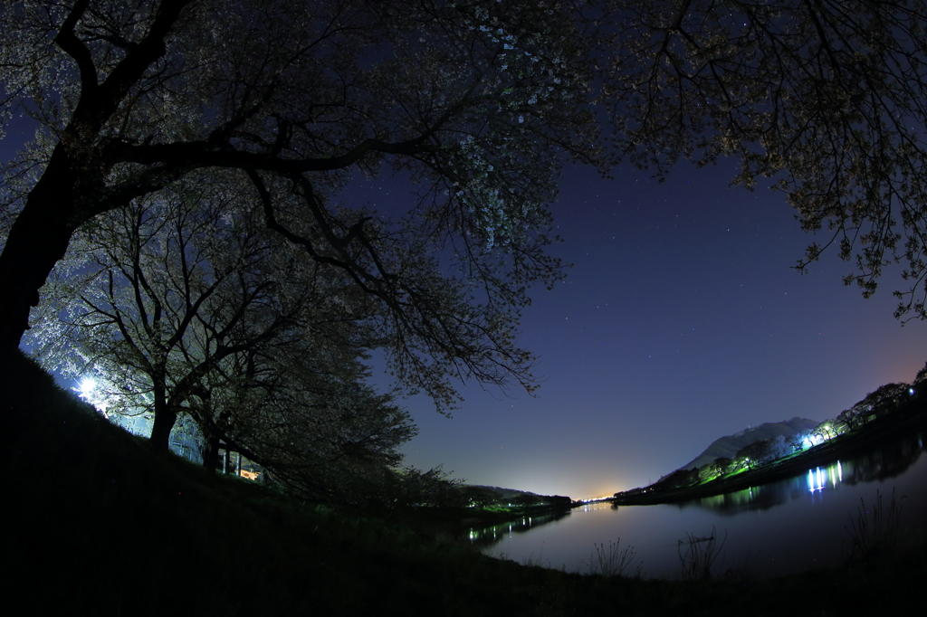 闇の中に眠る千本桜