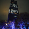 Urban tower & tree illuminations