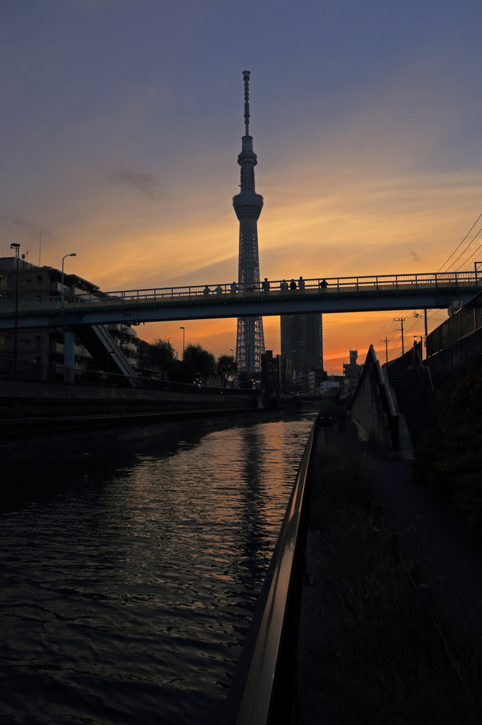 夕焼けスカイツリー