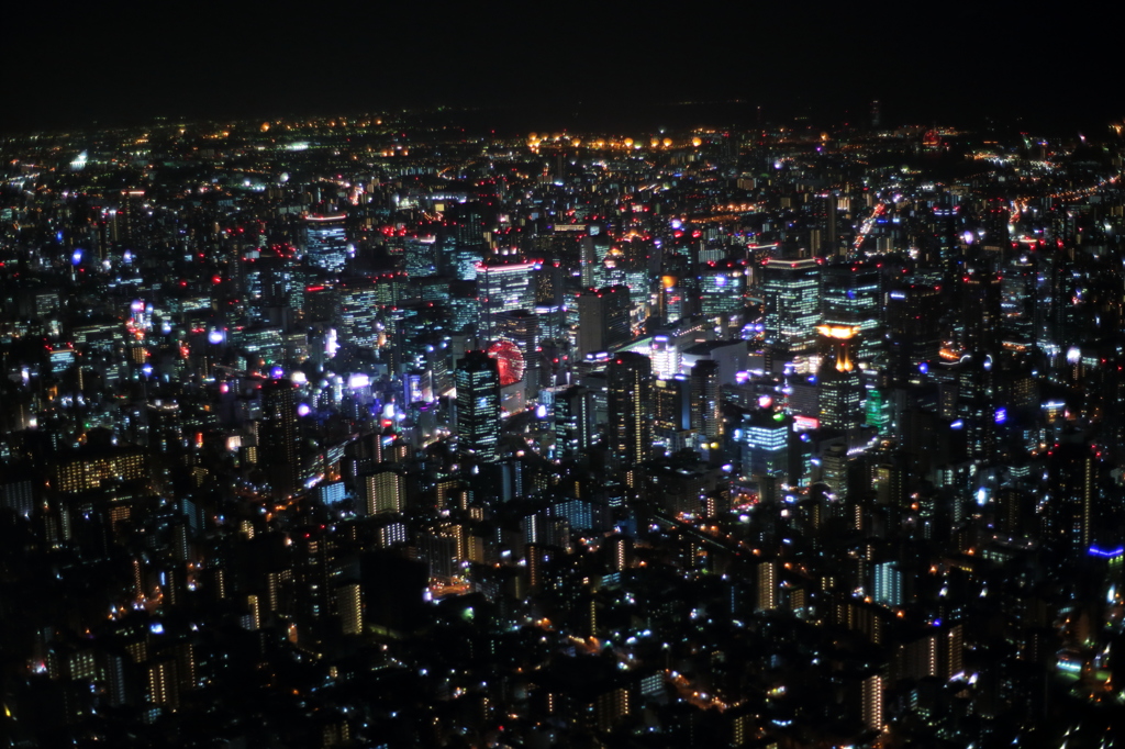 Metropolitan Osaka