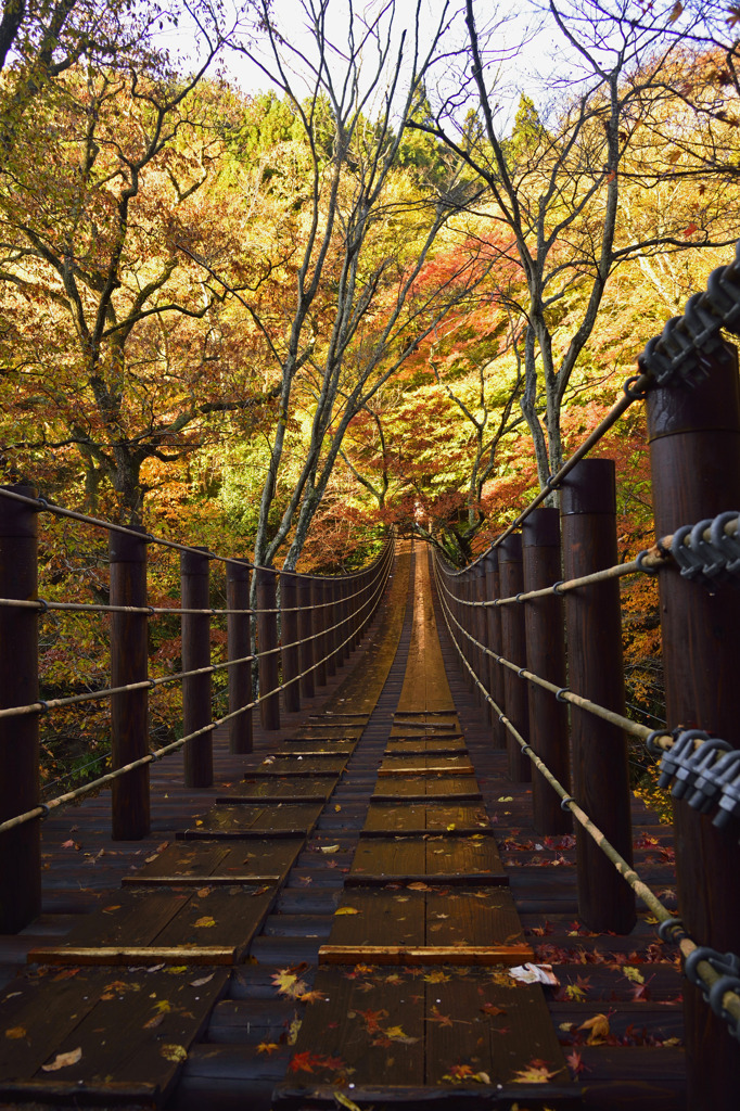 紅葉の汐見滝吊橋