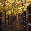 紅葉の汐見滝吊橋