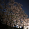 瀧桜にもひけをとらぬ美しさ