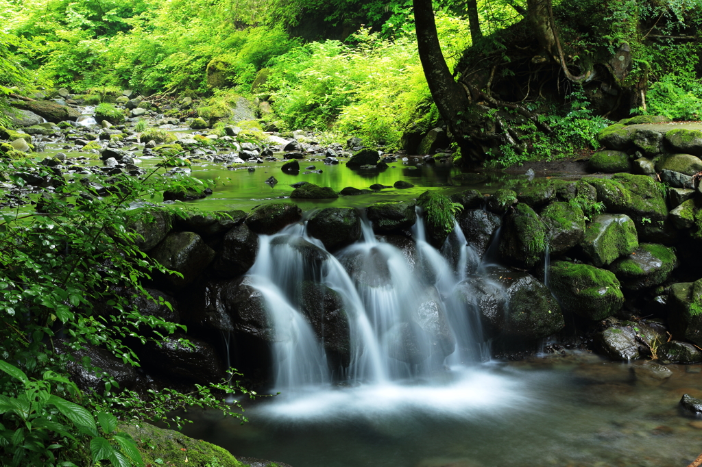 緑陰と白い水飛沫