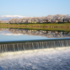 川面に映る蔵王の白雪と桜並木と堰の飛沫