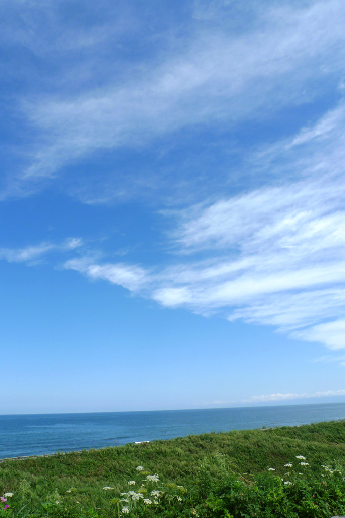 北海道_原生園たて