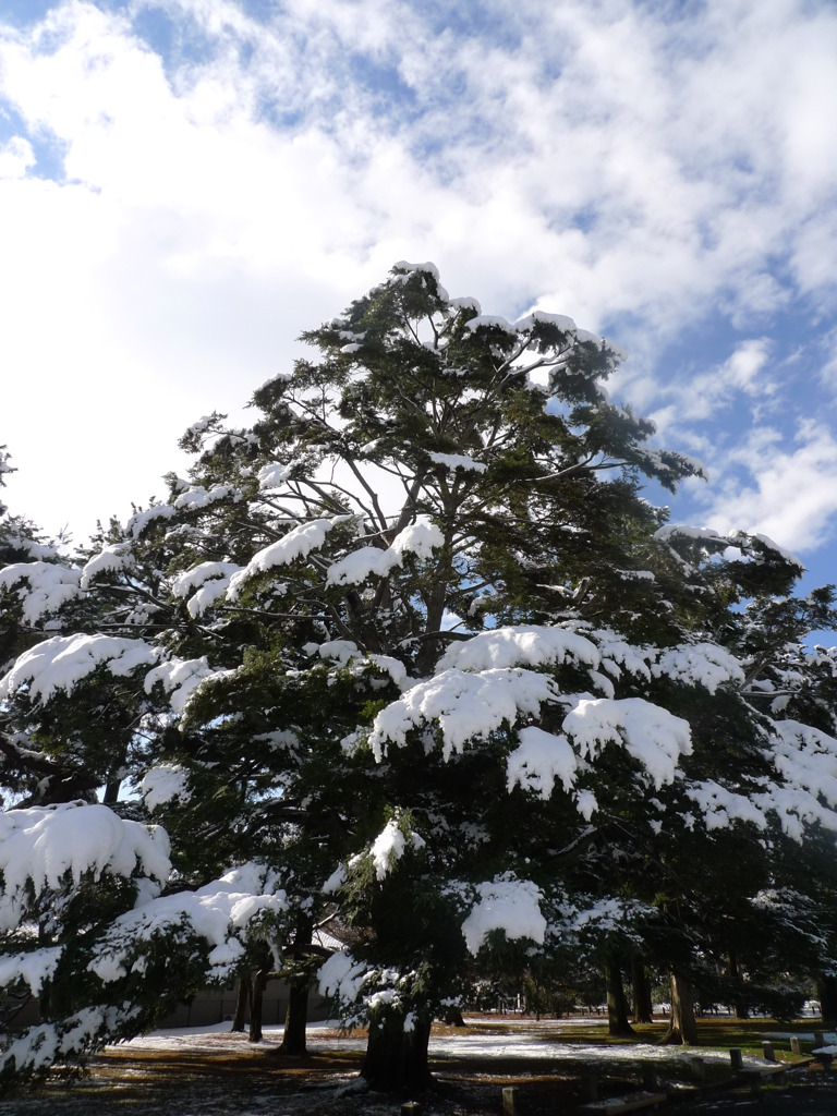 雪と空