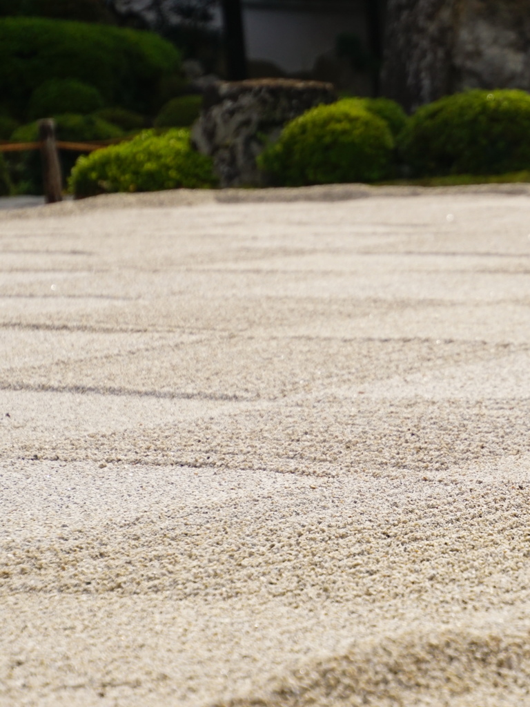 かくかくしかじか