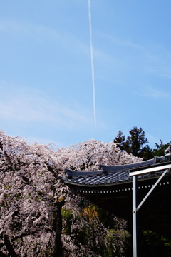 一筋の雲