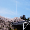 一筋の雲