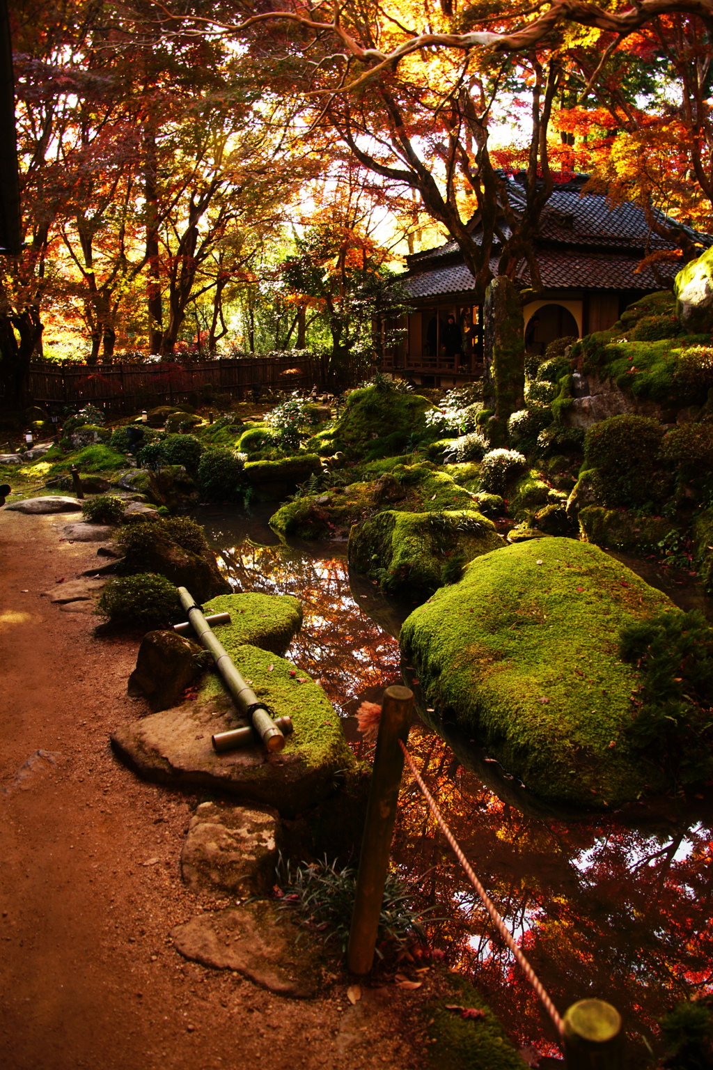 秋の水面