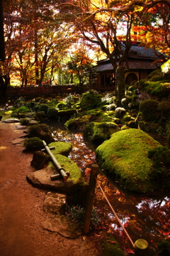 秋の水面