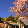 春の山寺