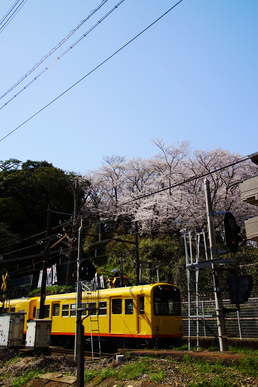 春を急いで