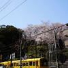 春を急いで