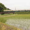 田植え終わり