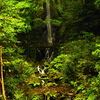 森林浴滝