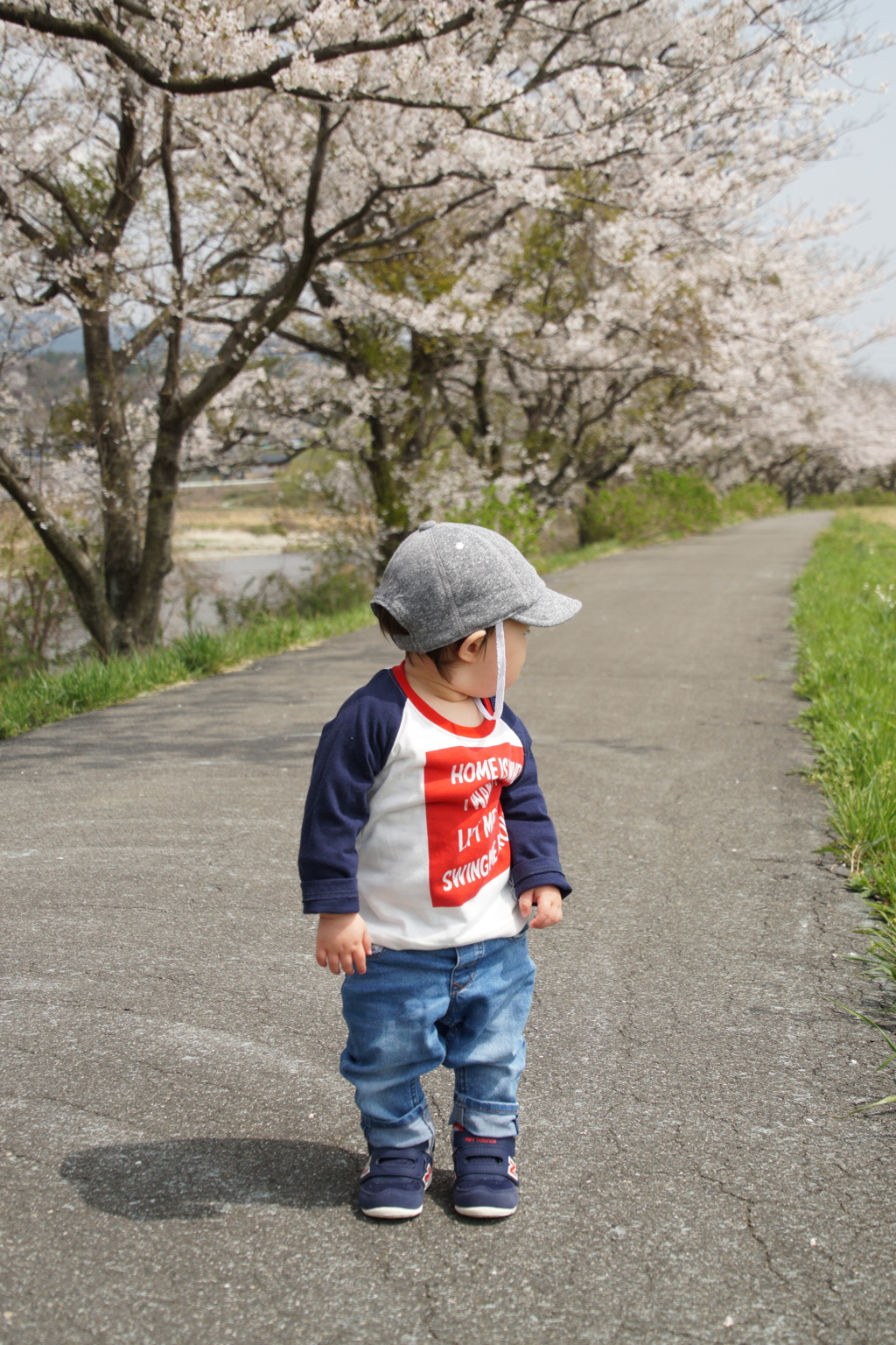 見返り桜