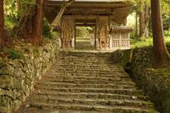 早秋