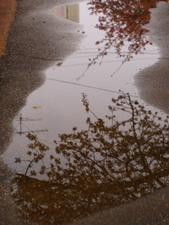 雨上がり