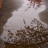 雨上がり