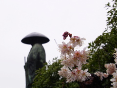 雨の日