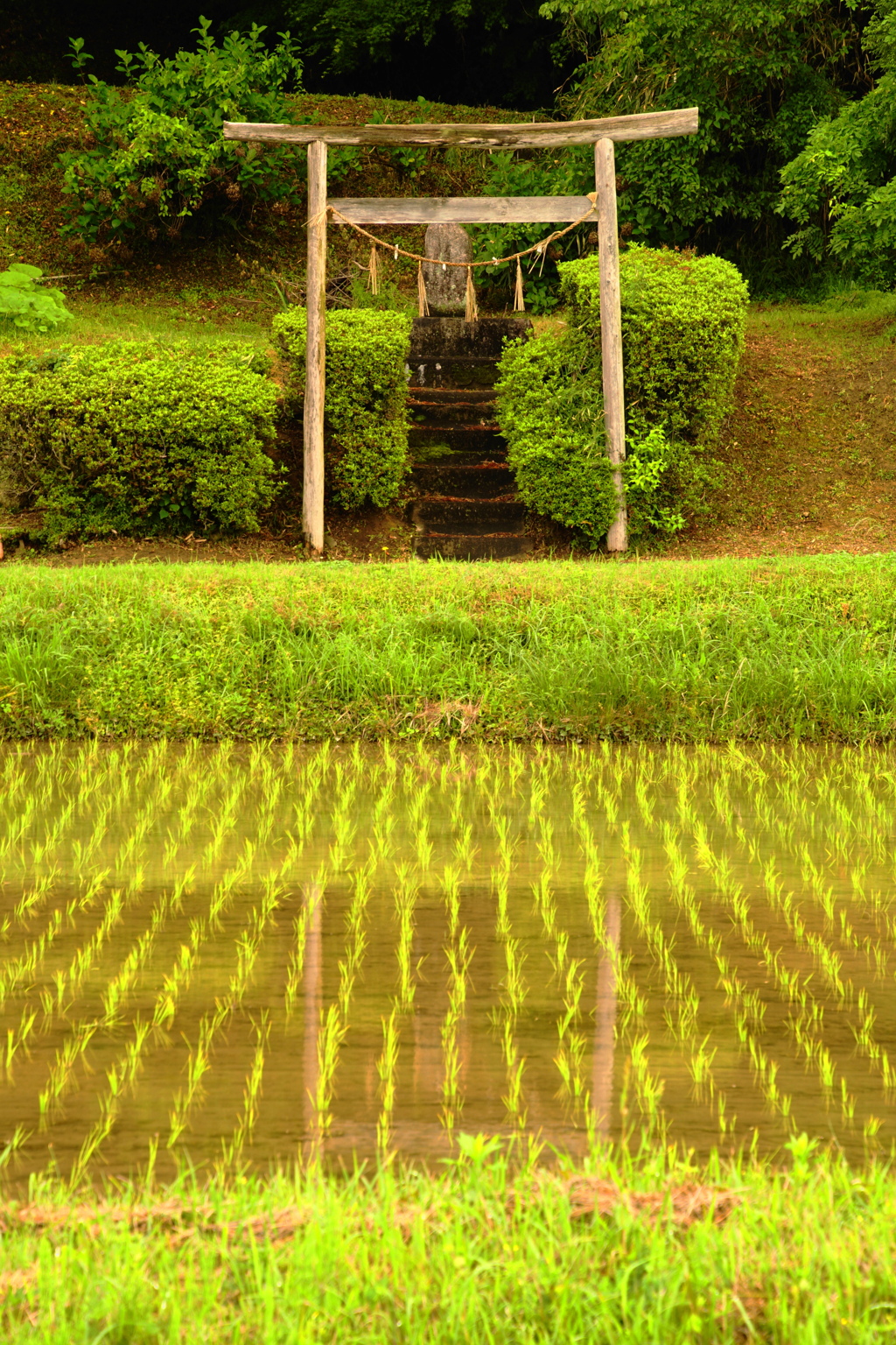 古からの氏神様