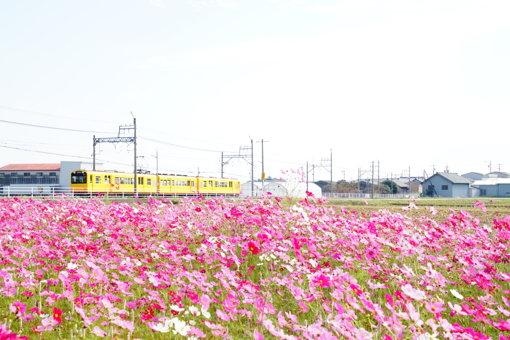 秋を運んで