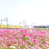 秋を運んで