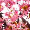 狙いを定めて