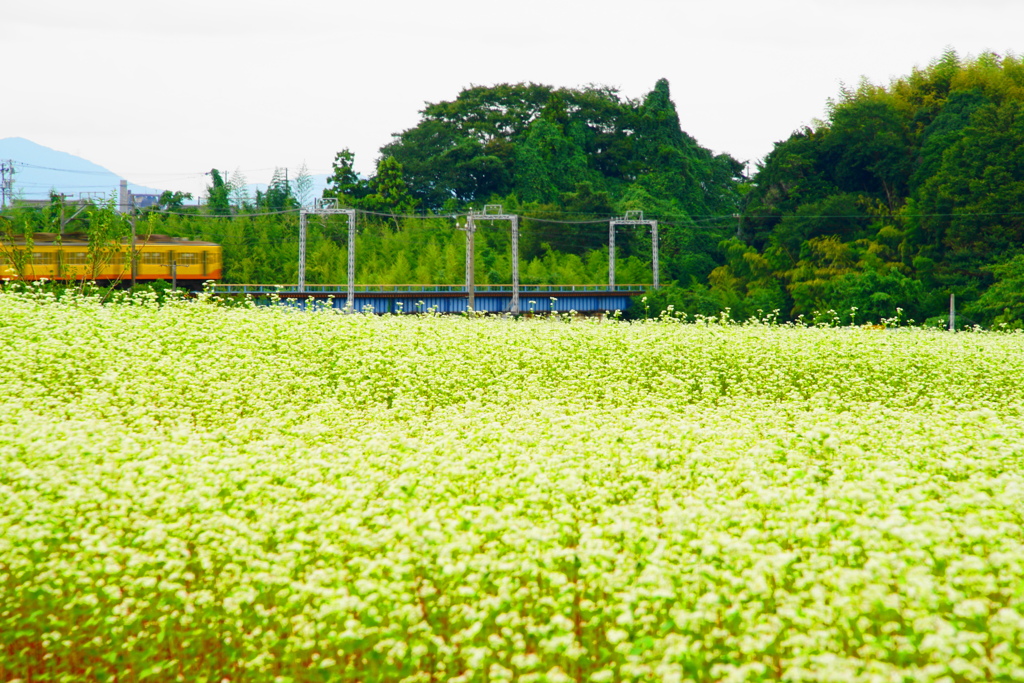 蕎麦と三岐鉄道