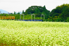 蕎麦と三岐鉄道
