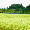 蕎麦と三岐鉄道