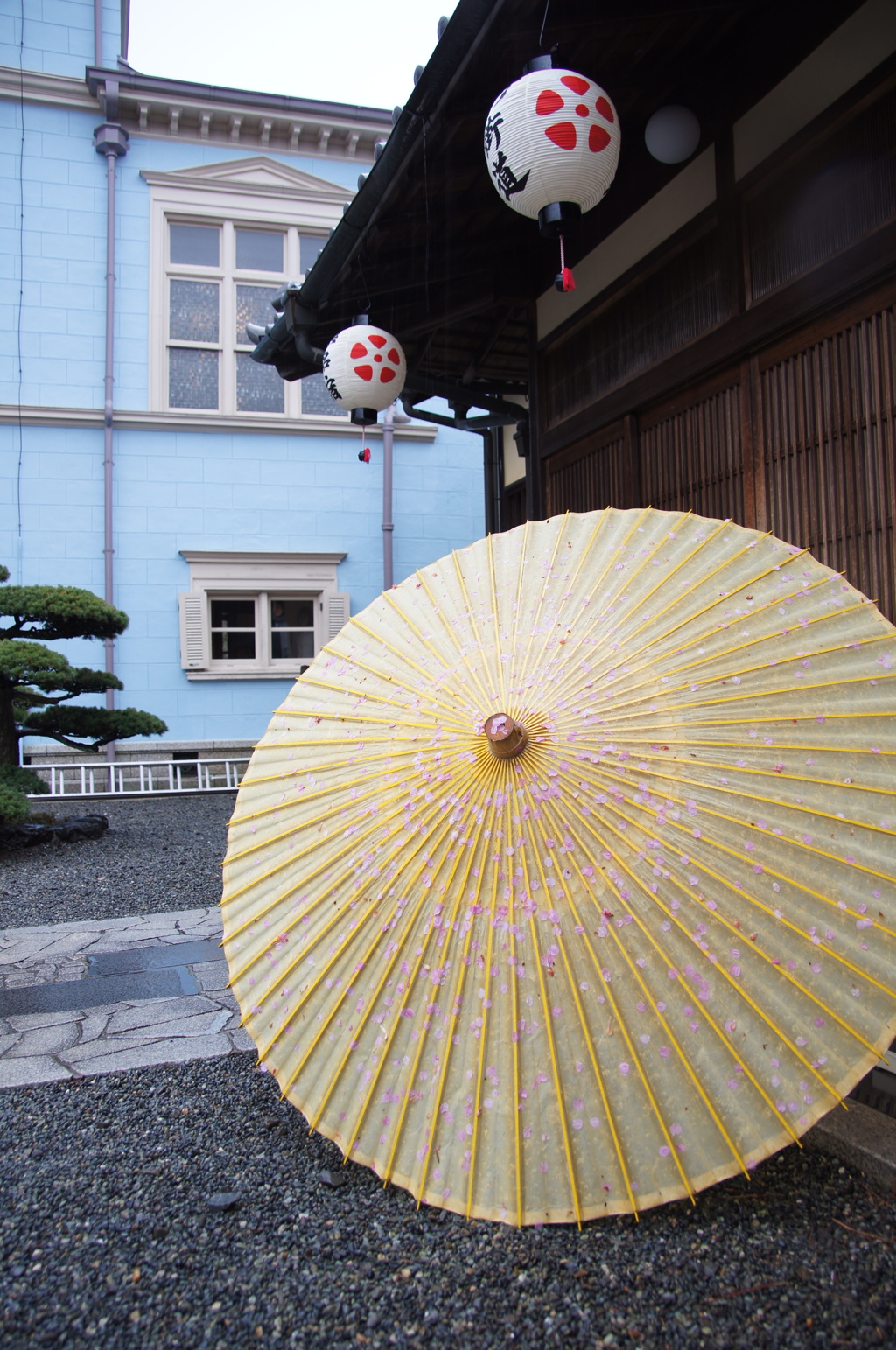 桜　模様