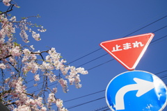 止まって確認