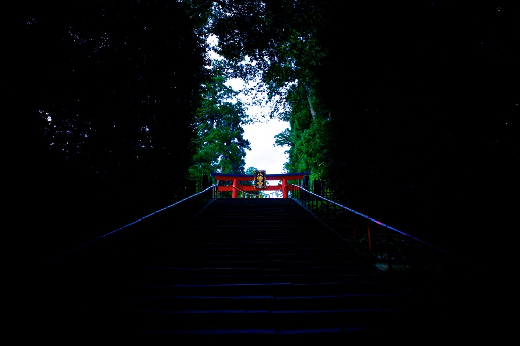八幡様の森
