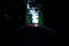 八幡様の森