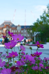 赤レンガ駅舎の秋