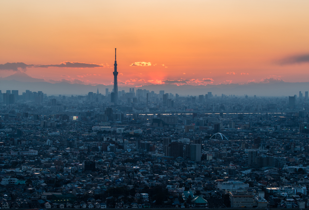 TOKYO夕景