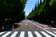 Road cones