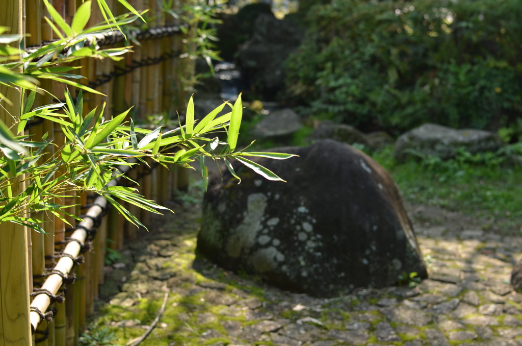 茶室の外へ（じゅん菜公園）
