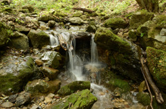 飛沫（御岳山）