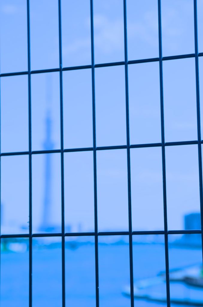 FENCE越しのBlue