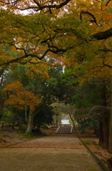 お堂へ向かう路
