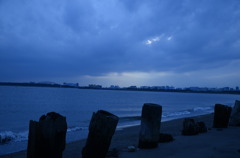 青の風景（葛西臨海公園）