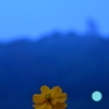 雨に唄えば